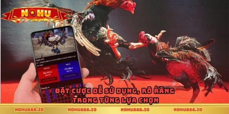 Đặt cược dễ sử dụng, rõ ràng trong từng lựa chọn