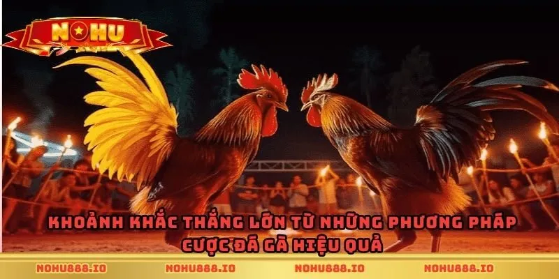 Khoảnh khắc thắng lớn từ những phương pháp cược đá gà hiệu quả