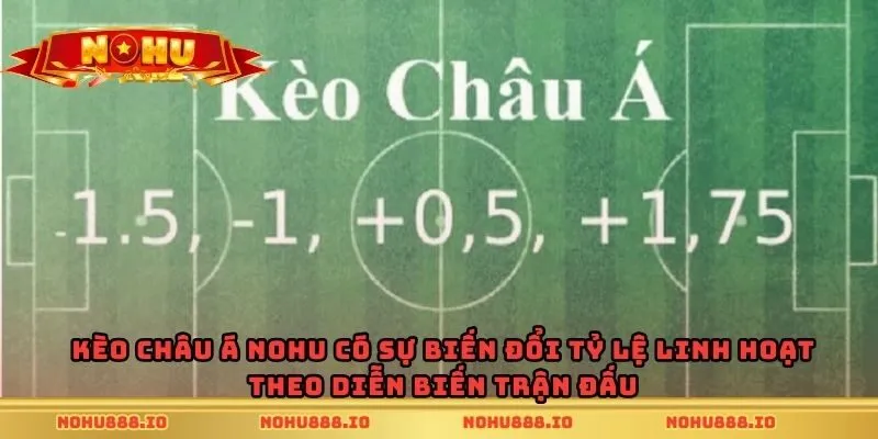 Kèo châu Á Nohu có sự biến đổi tỷ lệ linh hoạt theo diễn biến trận đấu