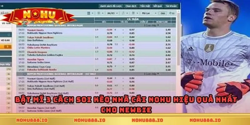 Bật mí 3 cách soi kèo nhà cái Nohu hiệu quả nhất cho newbie